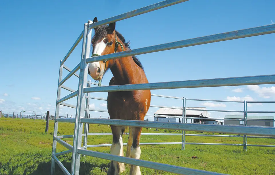 Heavy Duty 1.8m x 2.1m  galvanised  steel cattle yard panels supplies