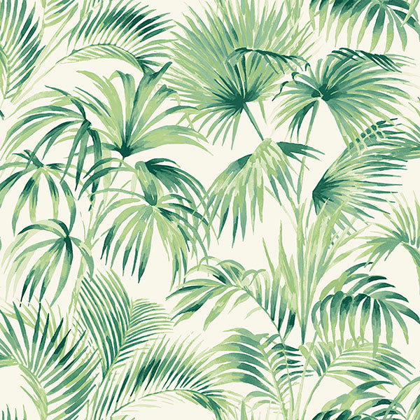 Sample Manaus Green Palm Frond Wallpaper