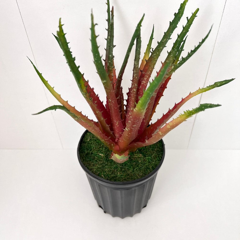 Gorgeous Artificial Aloe vera Plant in Ceramic Pot