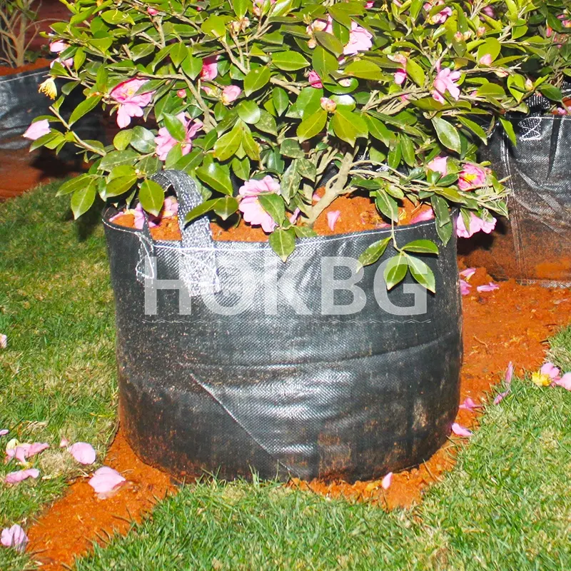 HOKBG 12 gallons Garden flower planting Bag PP material vegetables grow bags shrubs planter grow bags