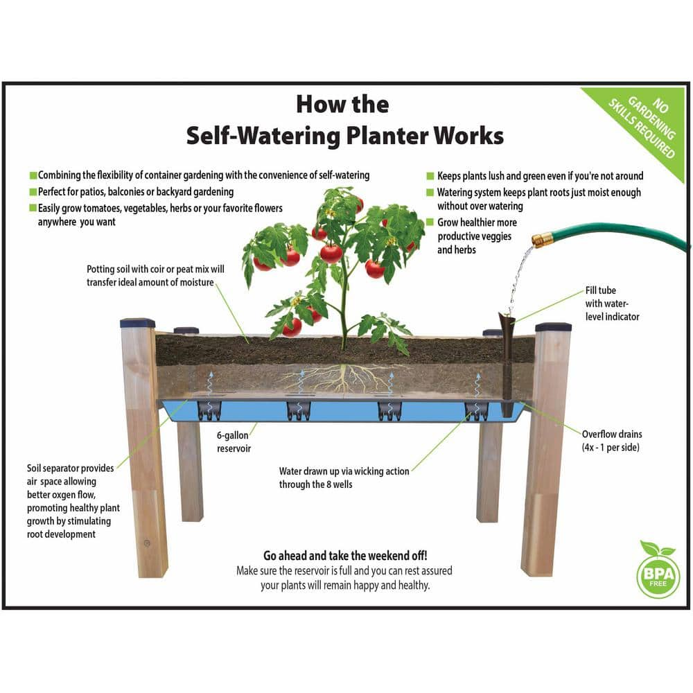 cedarcraft Beautiful. Functional. Sustainable. 23 in. x 49 in. x 30 in. H Self-Watering Elevated Cedar Planter CC_SW2248SC