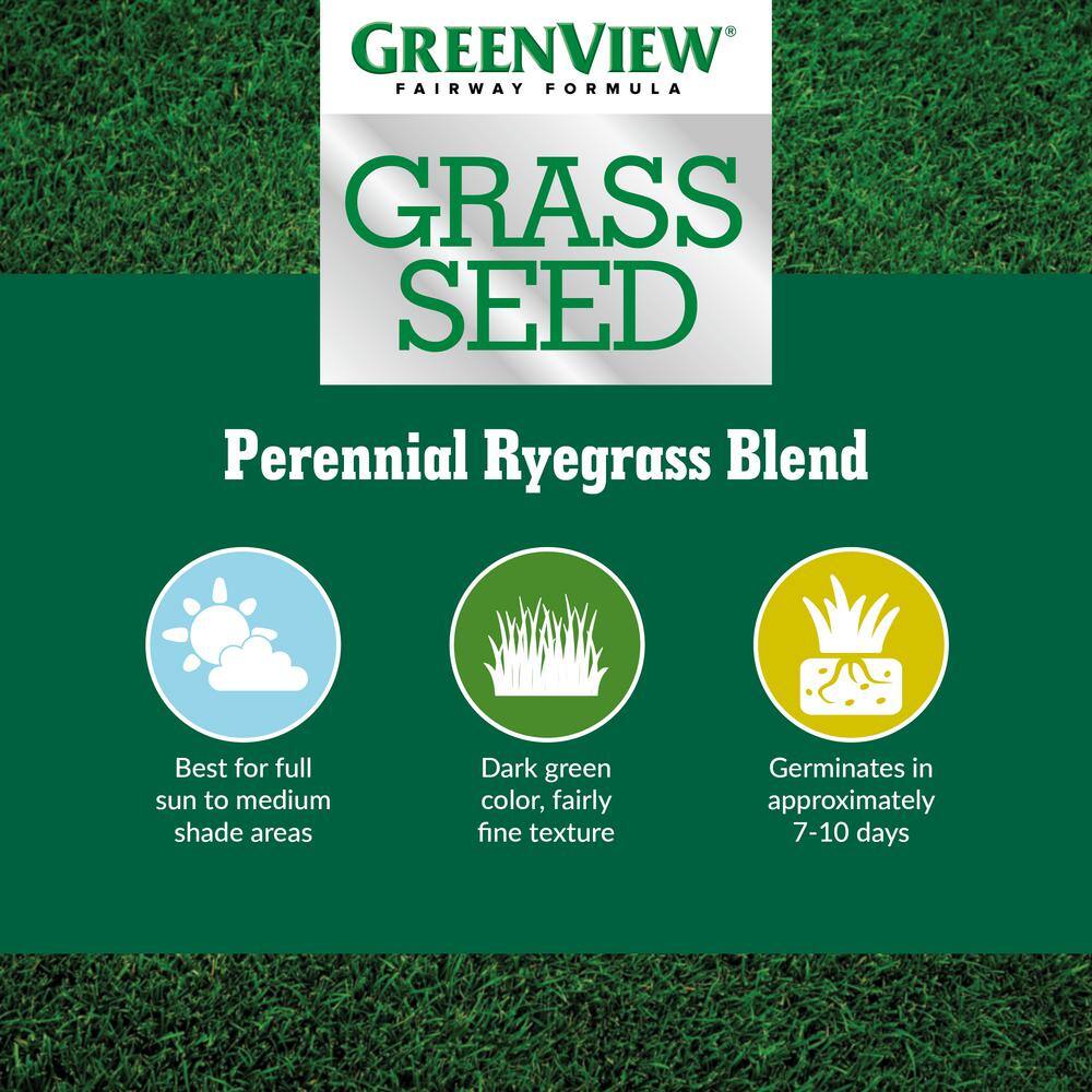 GreenView 3 lbs. Fairway Formula Grass Seed Perennial Ryegrass Blend 2829353