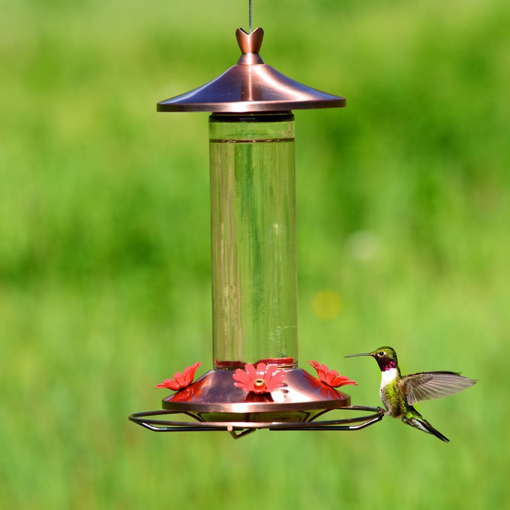 Woodstream 710B Copper Clear Glass Bottle Hummingbird Feeder with Bee Guard