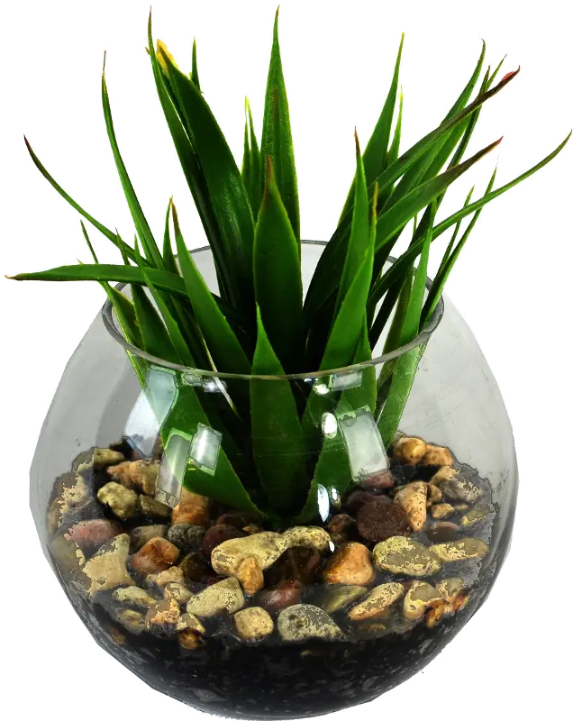 Faux Mini Yucca With Pebbles In Glass Bowl Arrangement