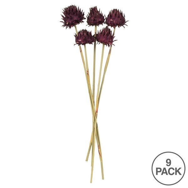 Vickerman 15 Violet Artichoke Head attached to a Reed Stem，Dried