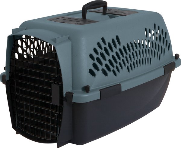 Aspen Pet Fashion Dog and Cat Kennel