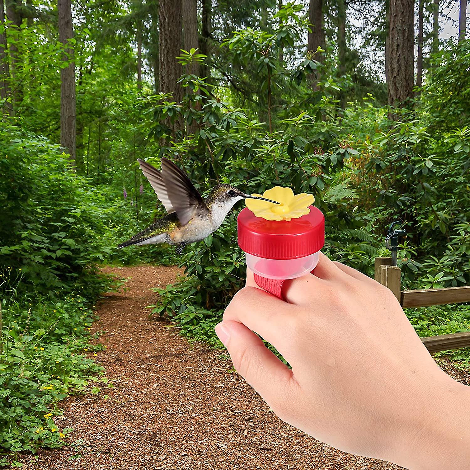 Hummingbird Ring Feeder Hummingbird Hand Feeder For Outdoors Flower Hand Held Hummingbird Feeding Tools Mini Hand Feeding Tools Backyard Nature， Red A