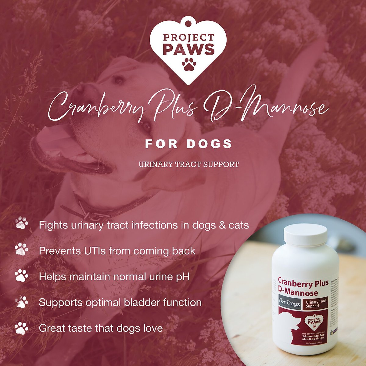 Project Paws Cranberry Plus D-Mannose Urinary Tract Support Chewable Dog Supplement