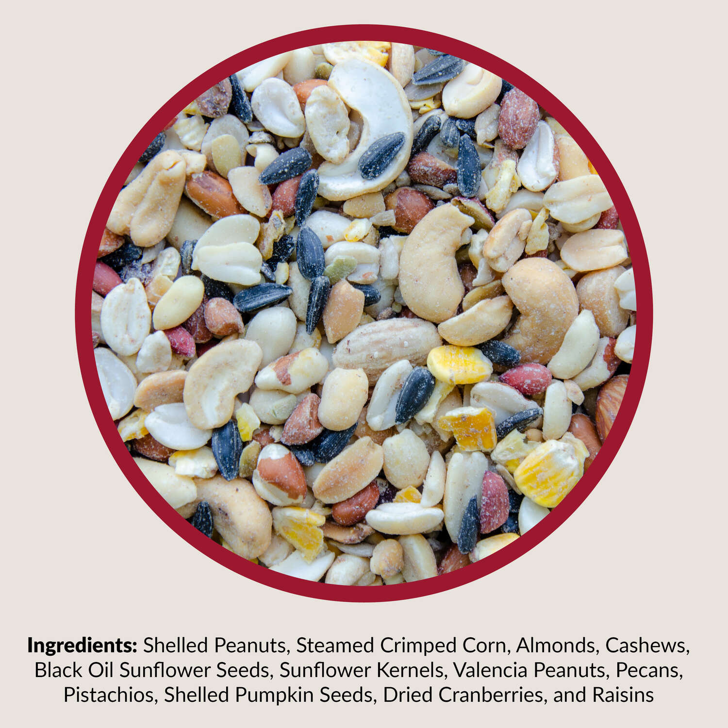 Lyric Assorted Species Fruits and Nuts Wild Bird Food 20 lb