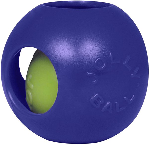 Jolly Pets Teaser Ball Dog Toy， Blue