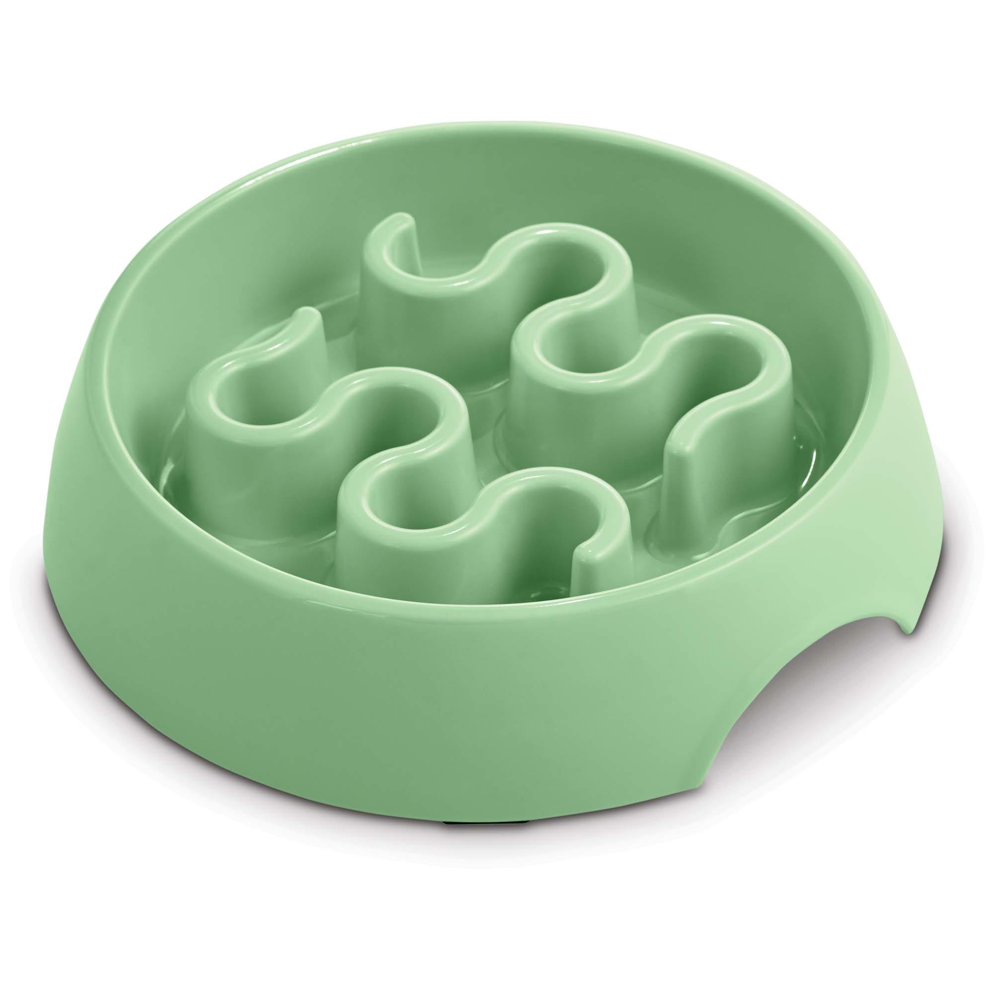 Harmony Mint Plastic Slow Feeder Dog Bowl， Large