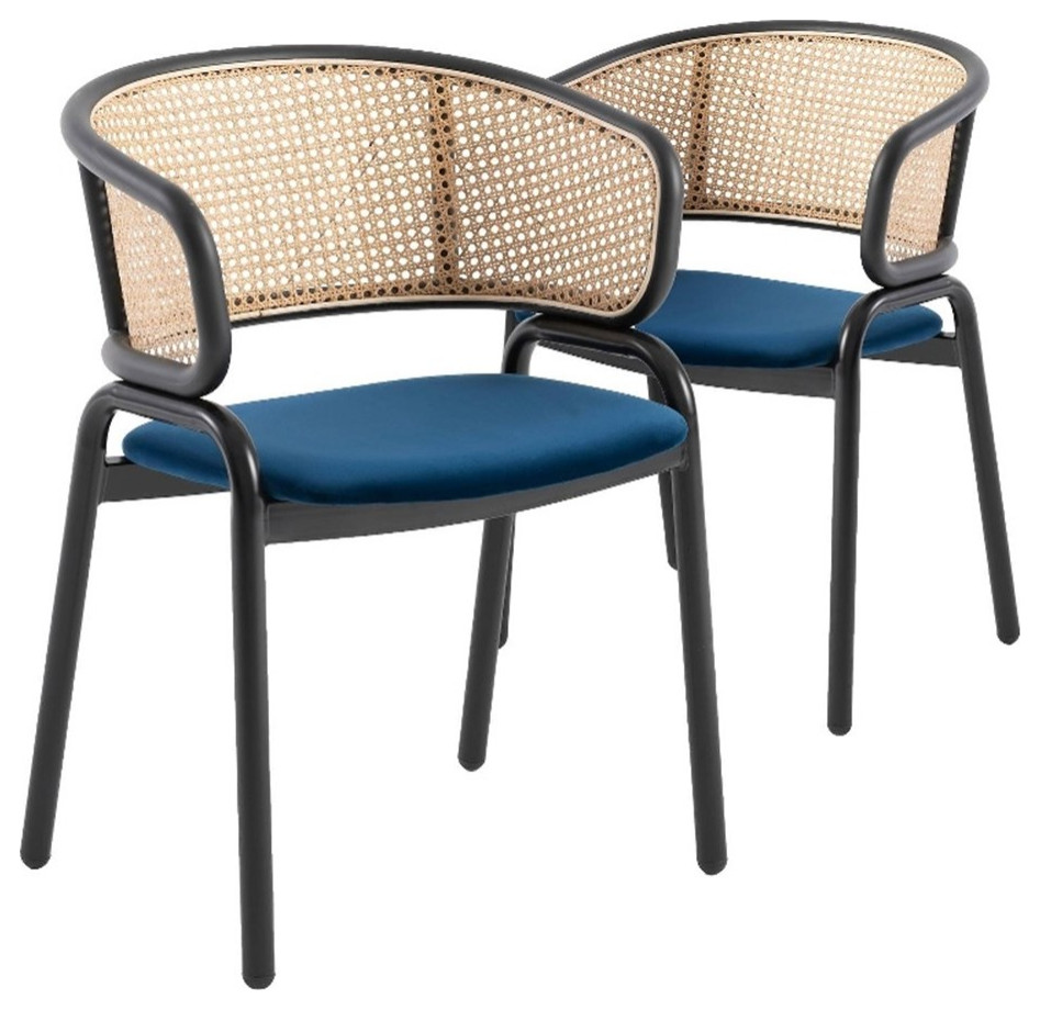 LeisureMod Ervilla Modern Dining Chair with Velvet Seat Set of 2 Beige   Tropical   Dining Chairs   by Homesquare  Houzz