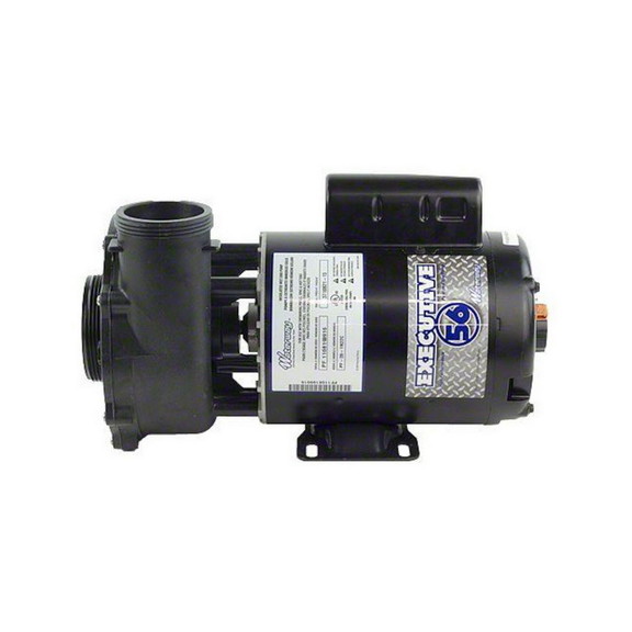 Waterway 3721221 13 Pump  Waterway Executive 56  3...