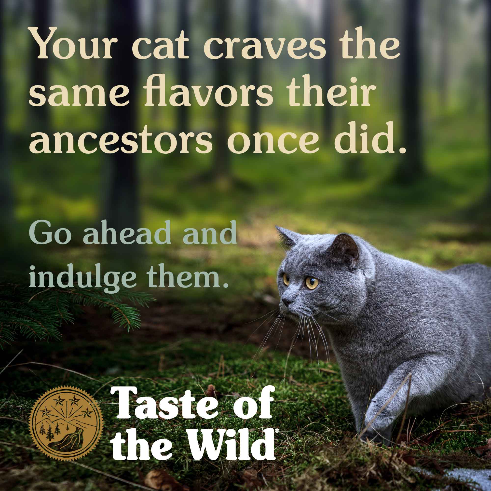 Taste Of The Wild Canyon River Grain-Free Cat Food