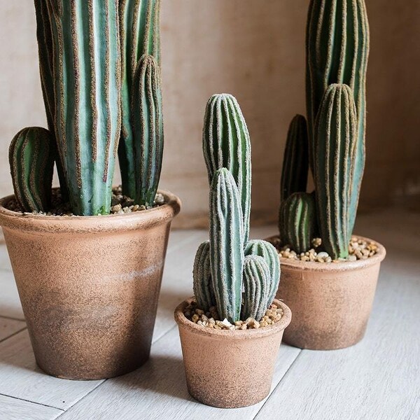 RusticReach Artificial Cactus in Brown Pot