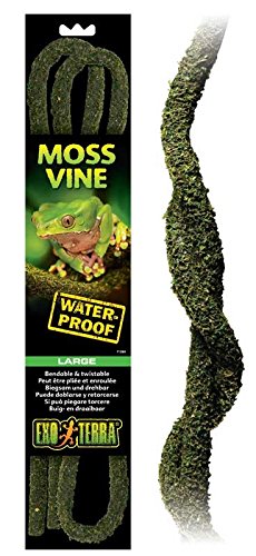 Exo Terra Bendable Moss Vine， Large