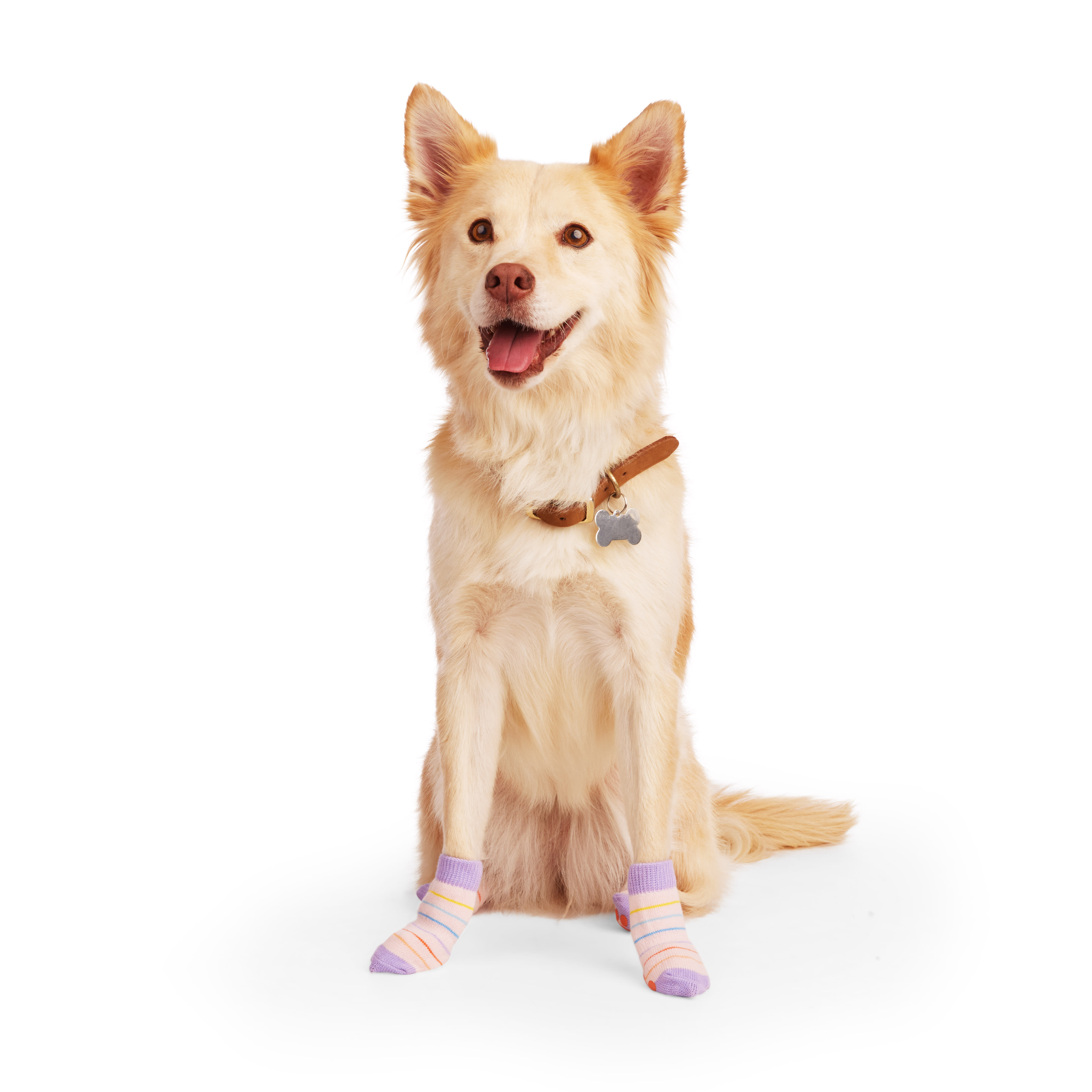 YOULY Butterfly Stripe Dog Sock， Small