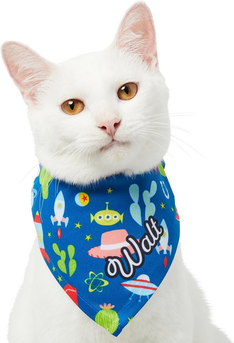 Pixar Toy Story Personalized Dog and Cat Bandana