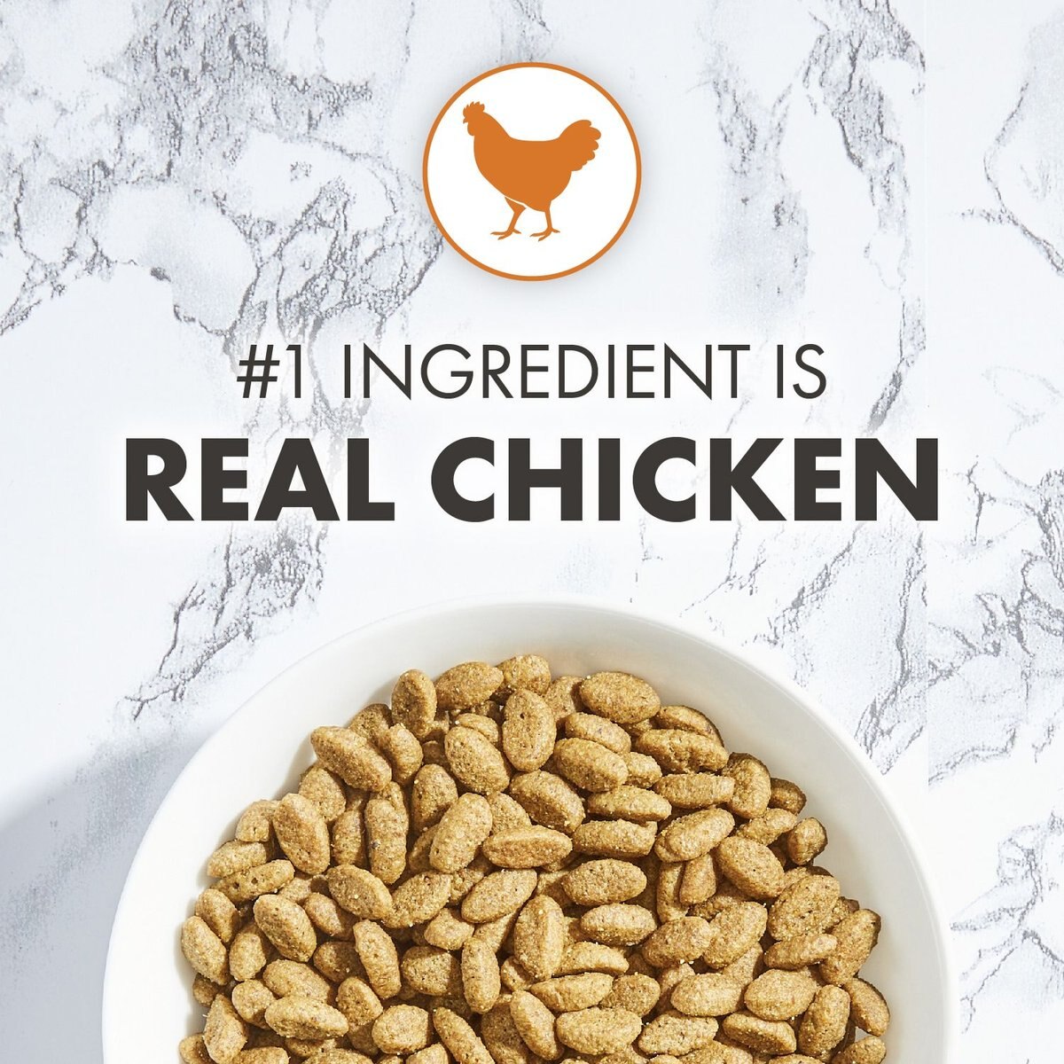 Nutro Wholesome Essentials Indoor Chicken and Brown Rice Recipe Adult Dry Cat Food