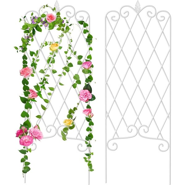 2 Pack Garden Trellis Iron Plant Support Climbing Vines