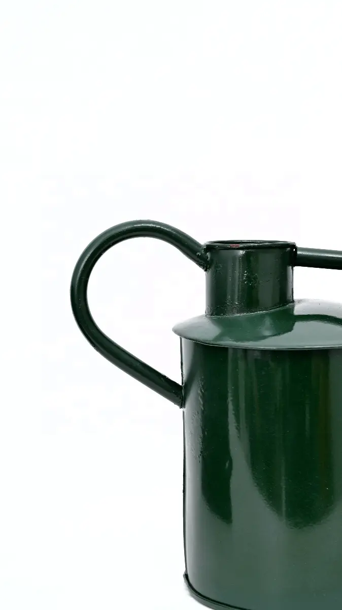 Decorative Common Design Forest Green Metal Watering Can Indoor Outdoor Pot for Home Gardening Plants Watering Circle in Shape