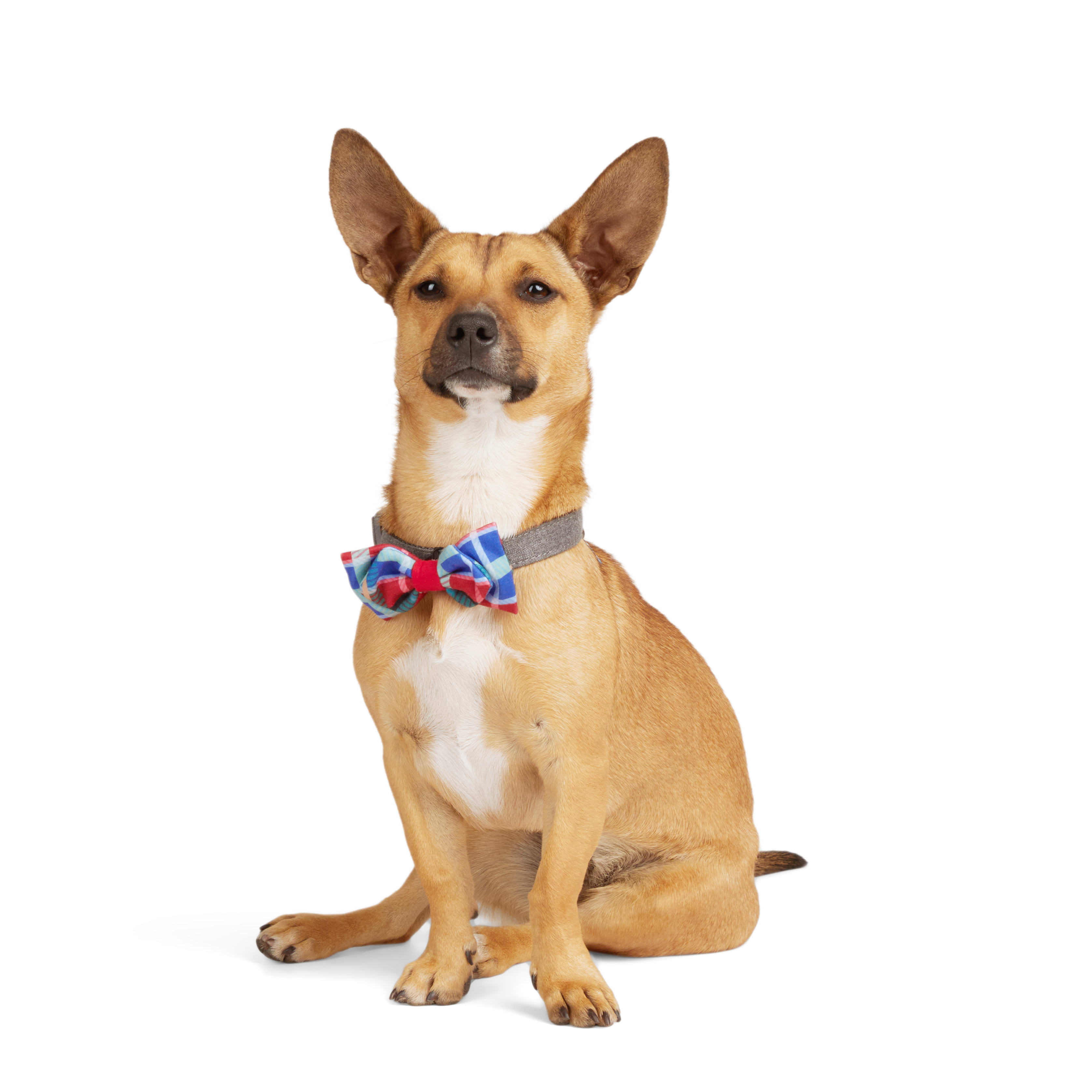 YOULY Bowtie 2-pack for Dogs