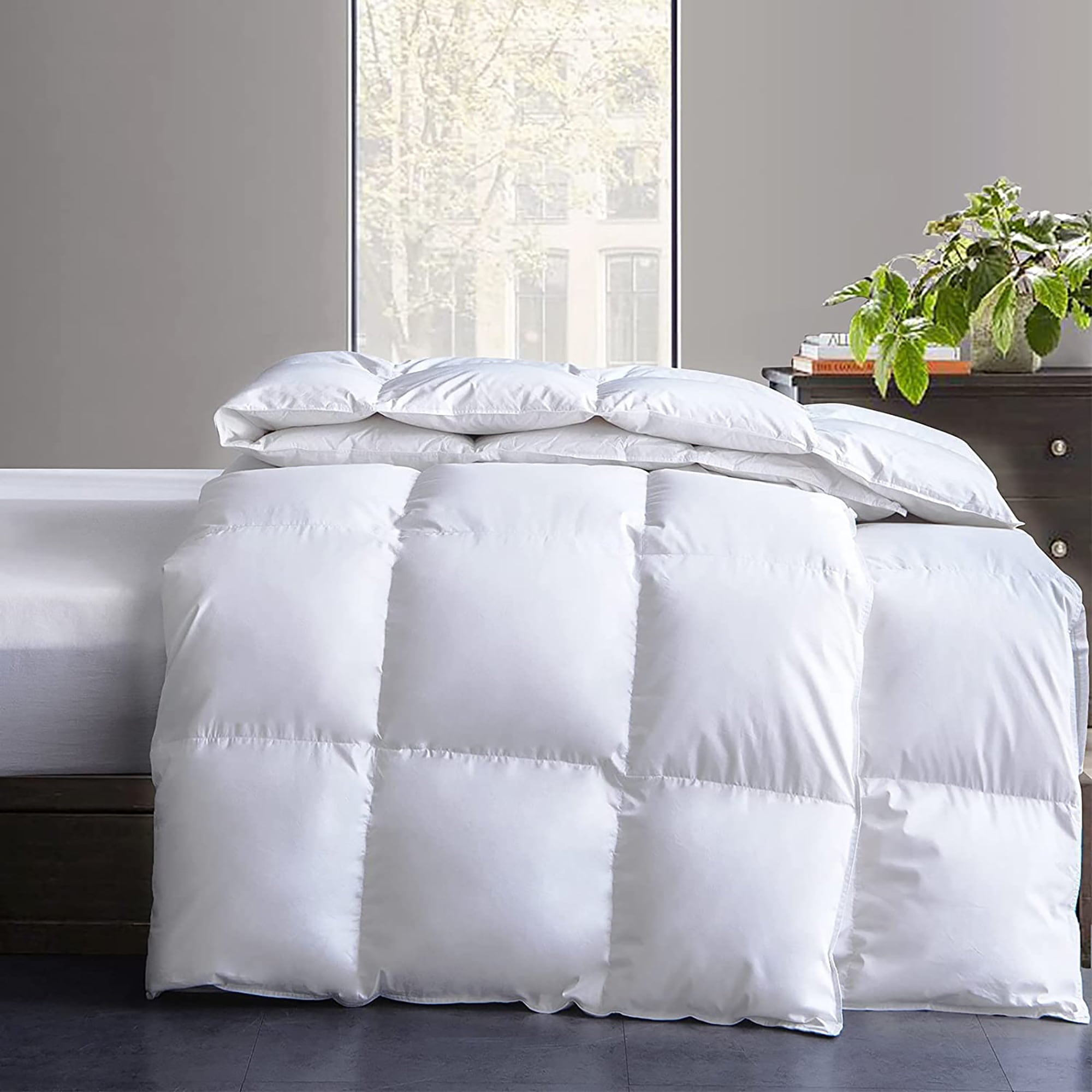 WhatsBedding Down Comforter Feather Duvet Insert Cotton White Goose Duck Down Comforter All Season Summer Solid， Queen