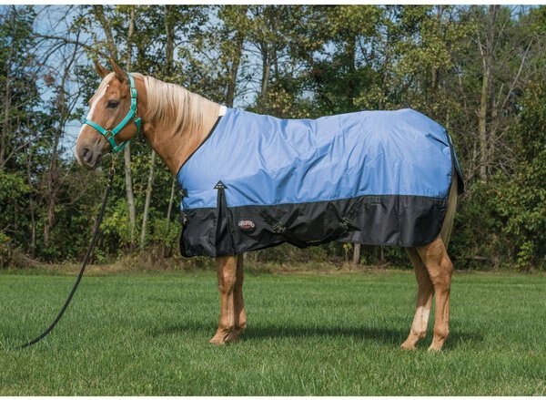 Weaver Leather Economy 600D Turnout Horse Blanket