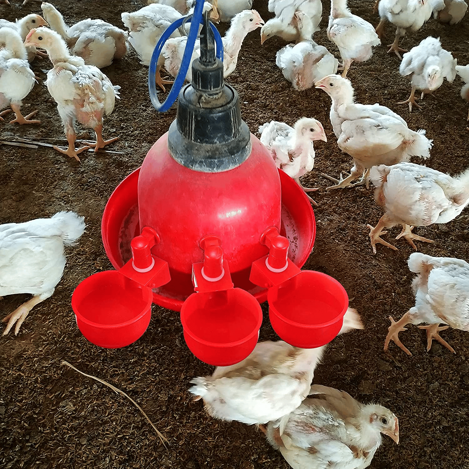 (⚡Flash Sale Today - 49% OFF) 6PCS/SET Automatic Poultry Drinking Bowl - Buy 2 Get 1 Free