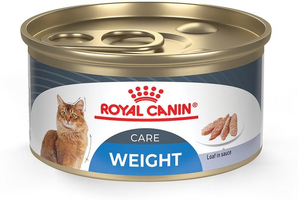 Royal Canin Feline Care Nutrition Weight Care Loaf in Sauce Canned Cat Food