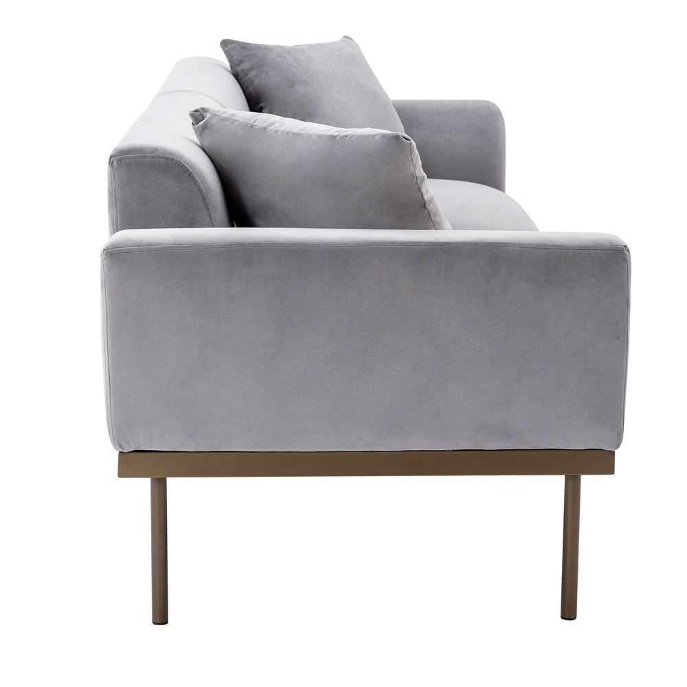 Modern Velvet Sofa with Metal Legs Loveseat Sofa Couch