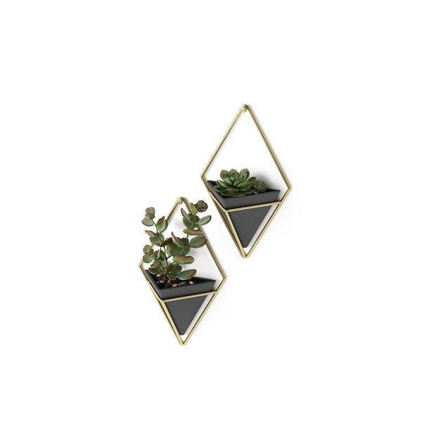 Set Of 2 Trigg Wall Display Planters Black brass Umbra