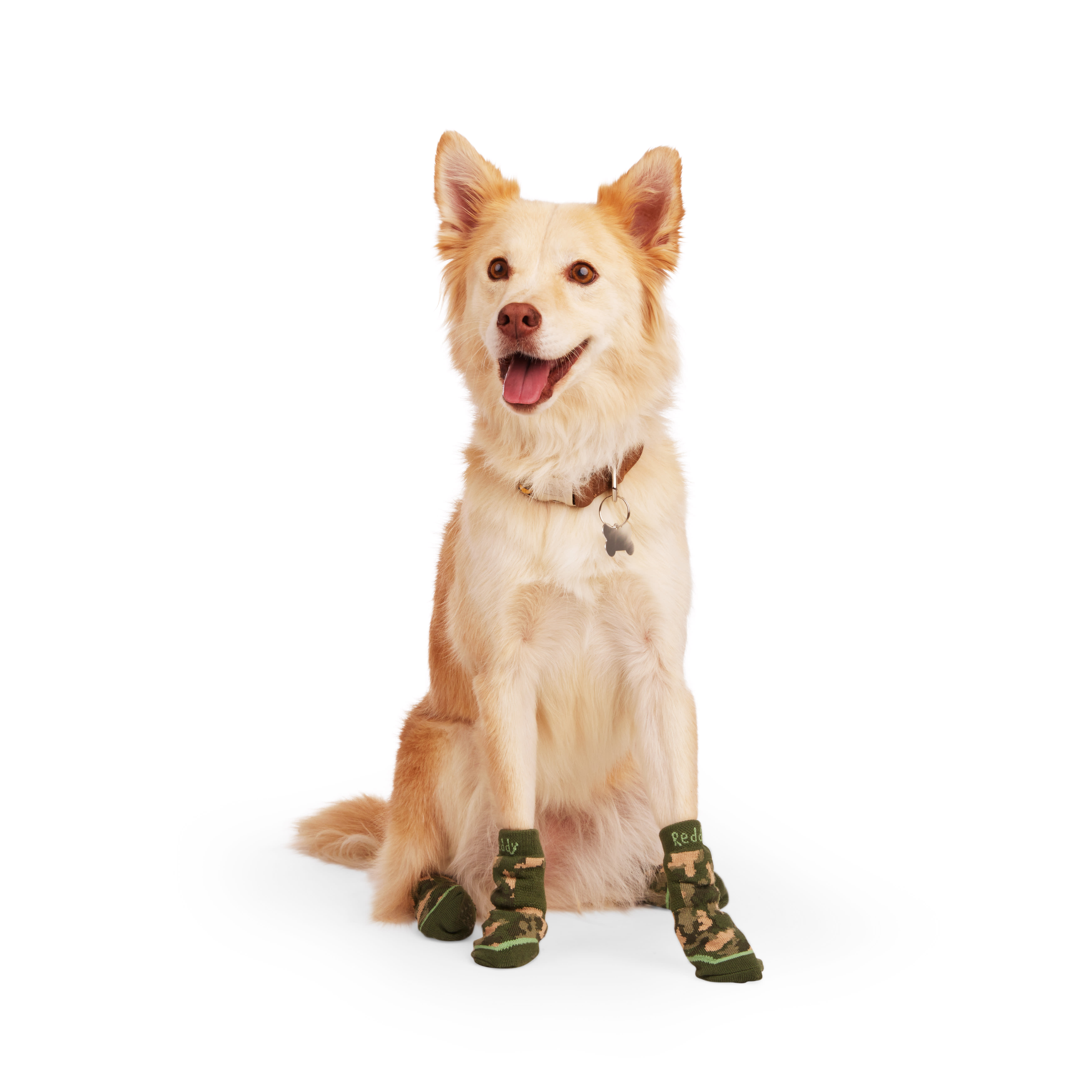 REDDY Green Grip Dog Socks， Small