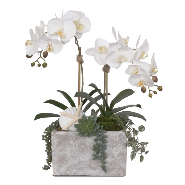 Real Touch Cream White Orchids with Seashell in Stone Wash Pot