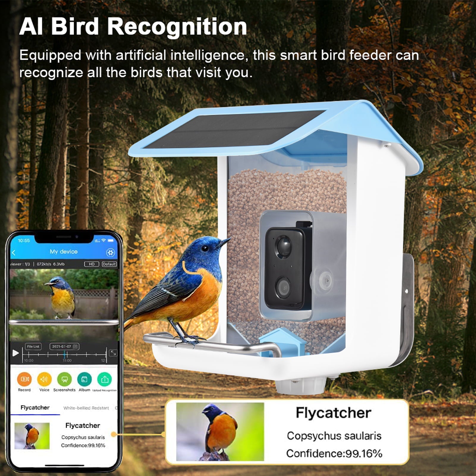 Anself Solar Smart Bird Feeder with Camera 1080HD Night Vision Camera AI Recognition Bird Species Feeder with APP Connection Auto Capture Bird Videos