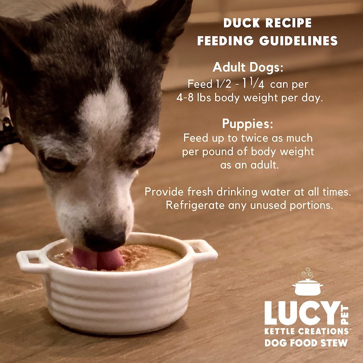 Lucy Pet Products Kettle Creations Duck Recipe in Gravy Wet Dog Food， 12.5-oz can， case of 12