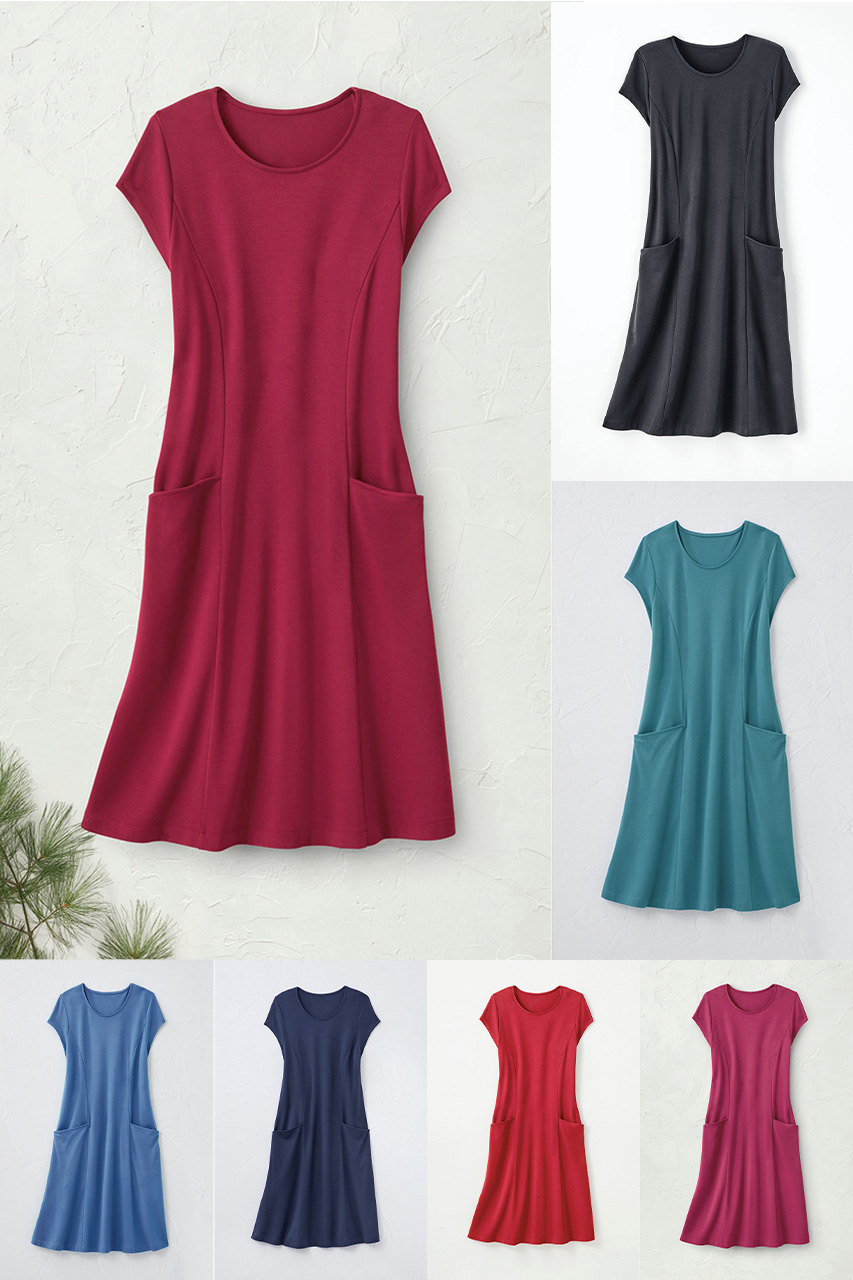 Destinations Seamed Dress