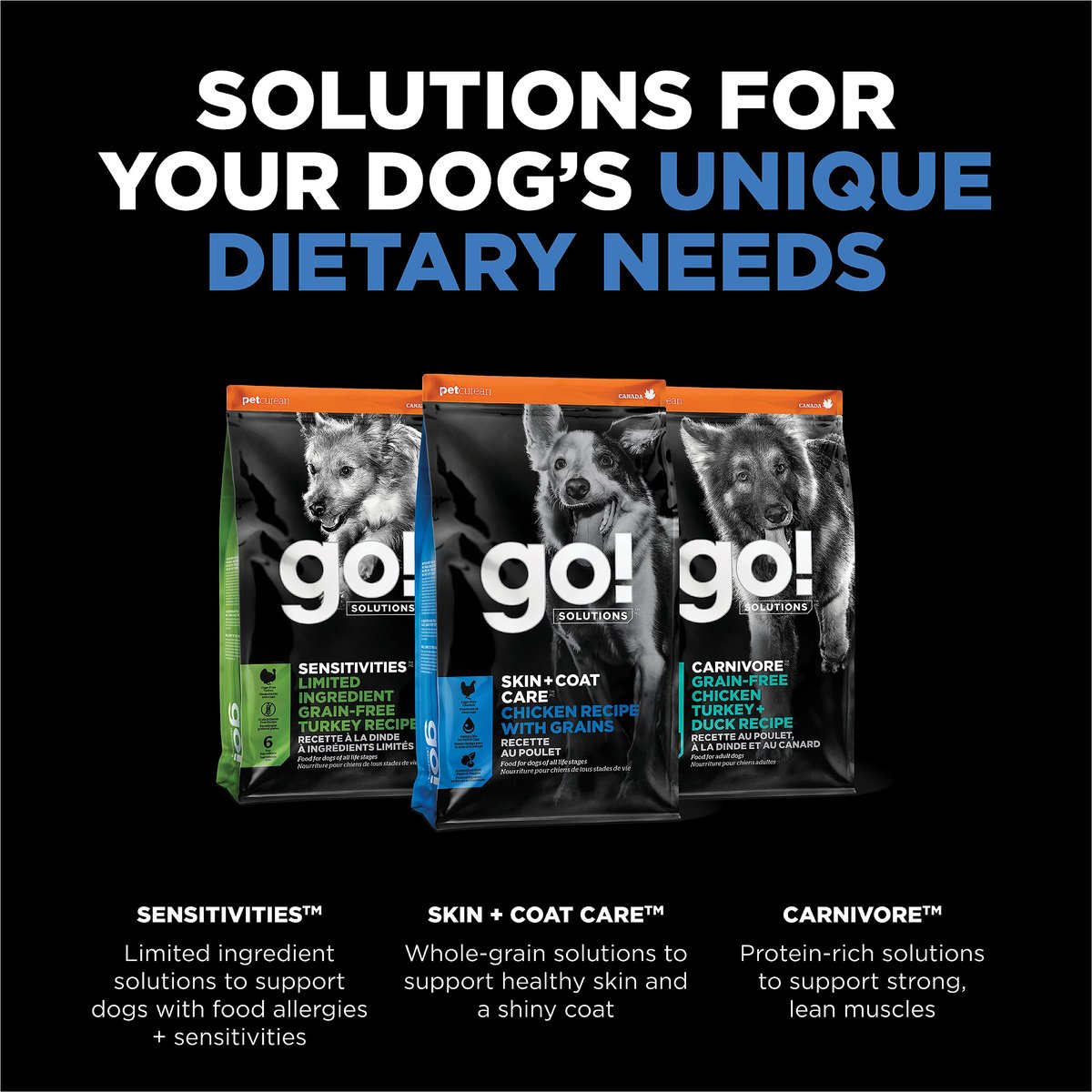 Go! Solutions Skin + Coat Care Chicken Recipe Dry Dog Food