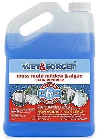 Wet and Forget 10587 1 Gallon Moss， Mold and Mildew Stain Remover