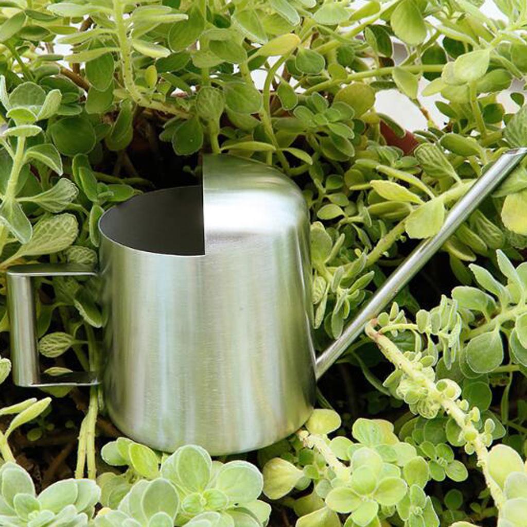 Mini Indoor Watering 300ml