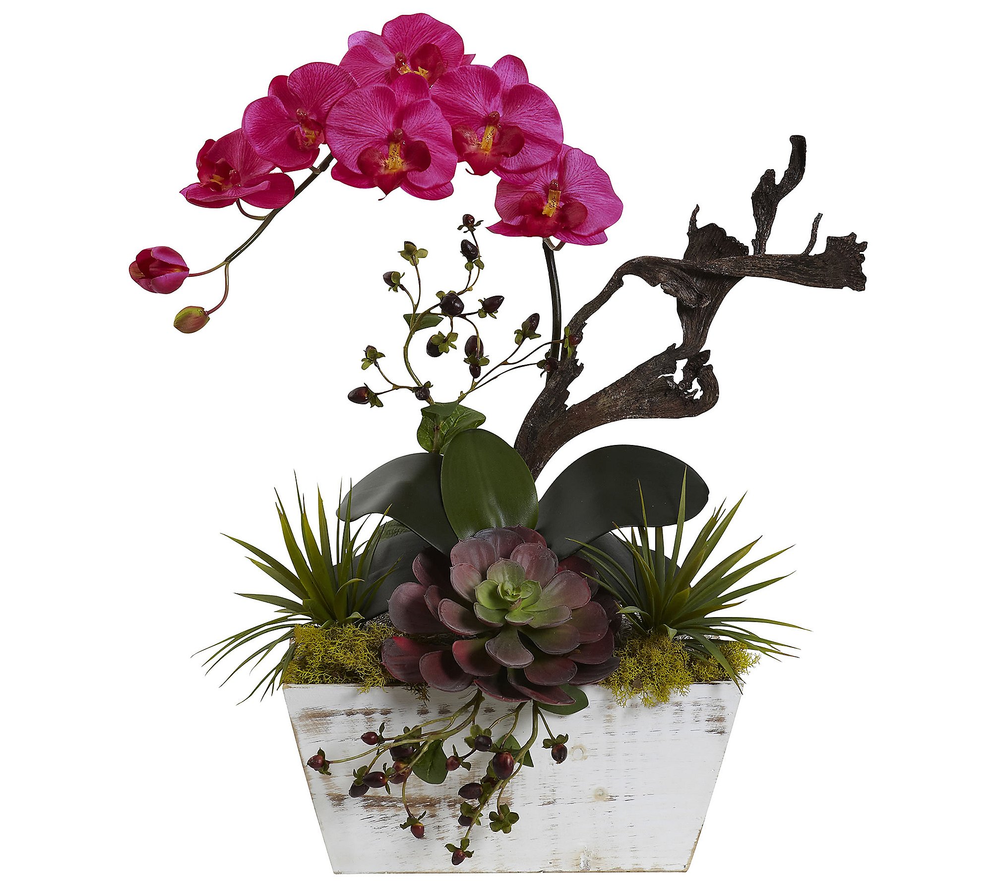 Orchid and Succulent Garden with Planter by Nearly Natural