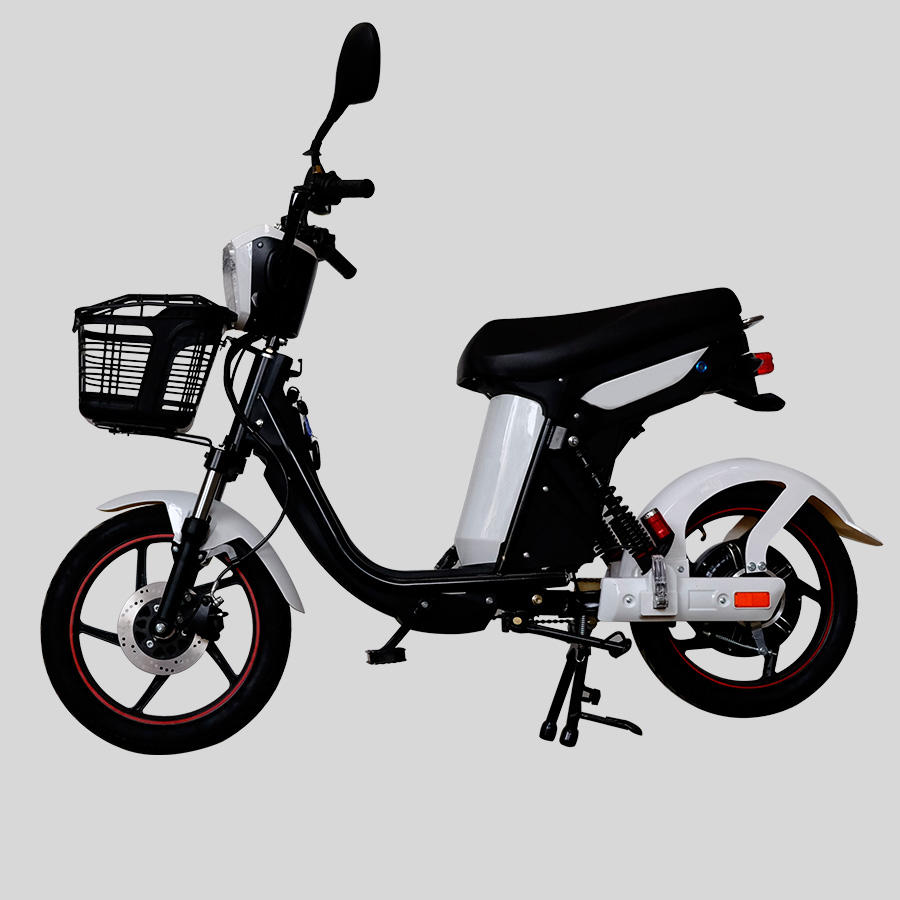 bike electric pakistani rupees price bikes max speed 25 kmh electric bike for viet nam