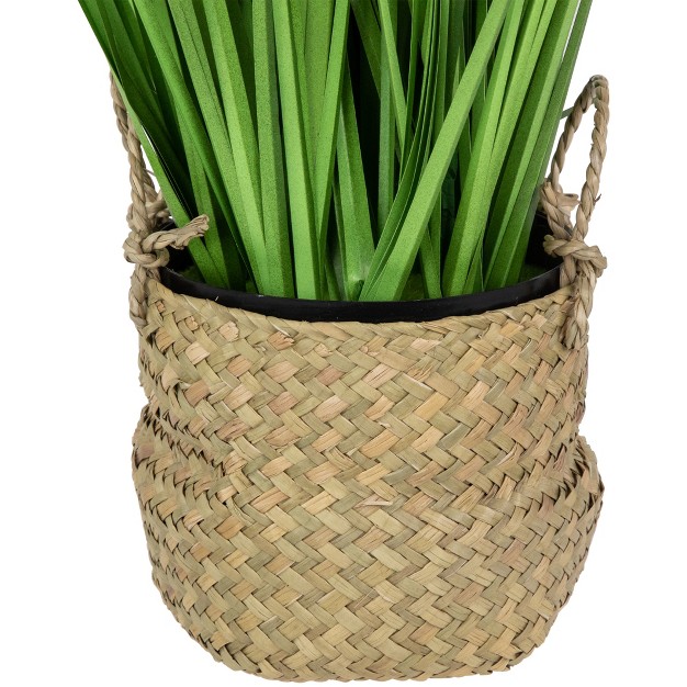 Artificial Onion Grass Plant In Basket