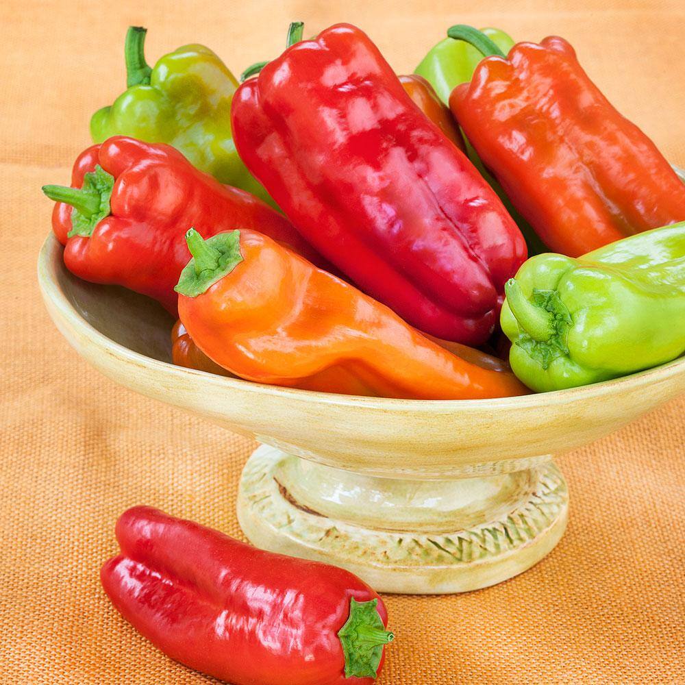 Bonnie Plants 19 oz. Cubanelle Pepper Plant 3400