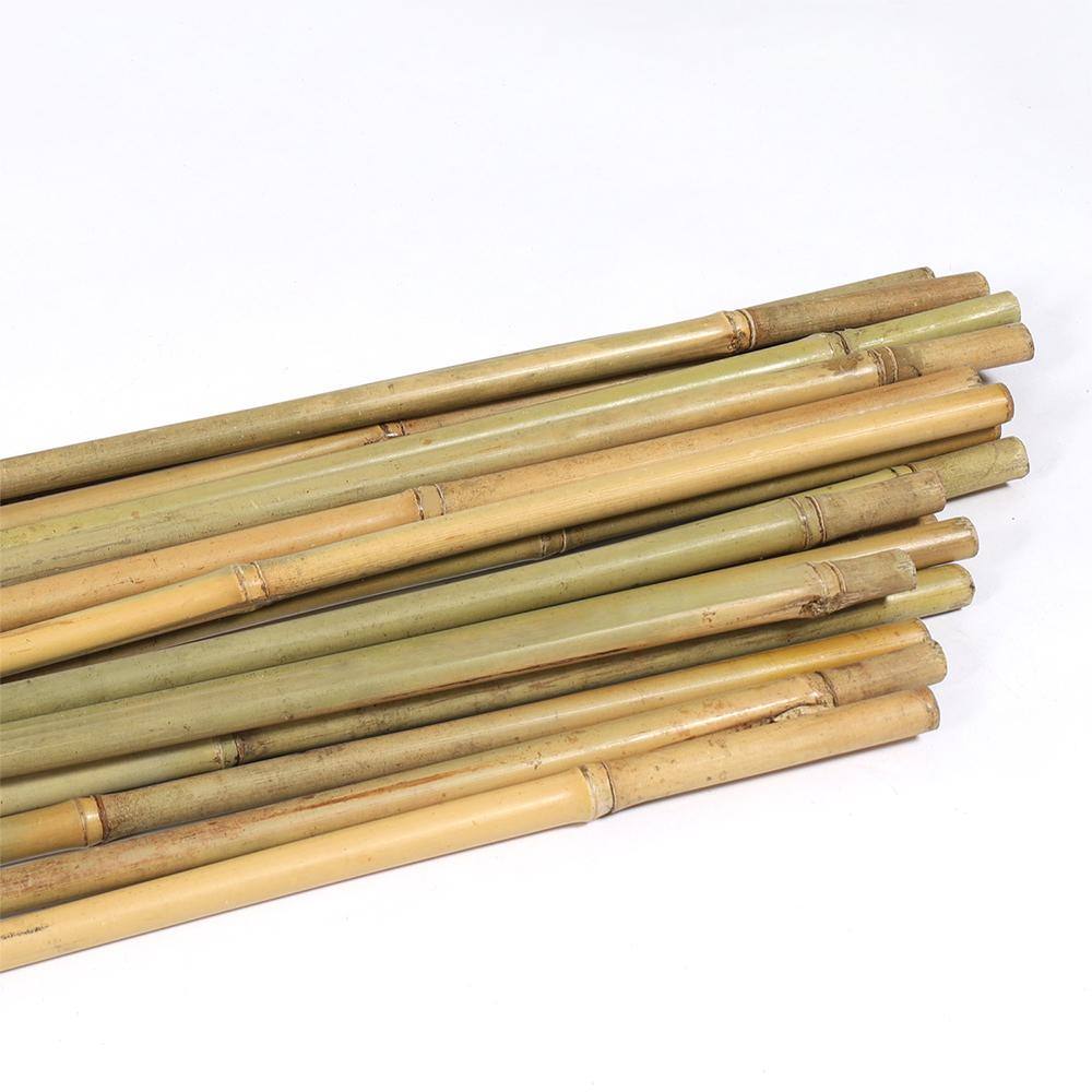 Ecostake 3 ft. x 38 in. Natural Bamboo Eco-Friendly Garden Plant Stakes for Climbing Support (40-Pack) BPST38340P