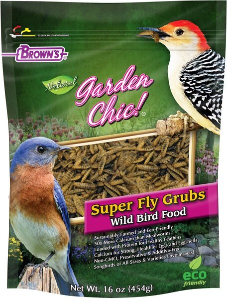 Brown's Garden Chic! Super Fly Grubs Wild Bird Food， 16-oz bag