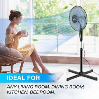 Aoibox Adjustable-Height 16 in. Black Oscillating 3 Adjustable Speed Energy Save Pedestal Stand Fan for Indoor Office  Dorm SNMX029