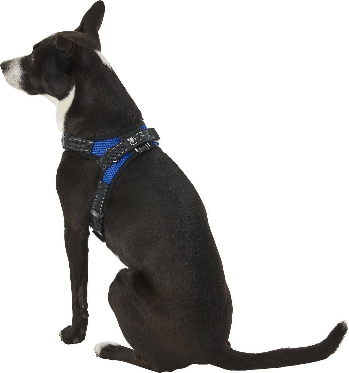 Copatchy No-Pull Reflective Adjustable Dog Harness