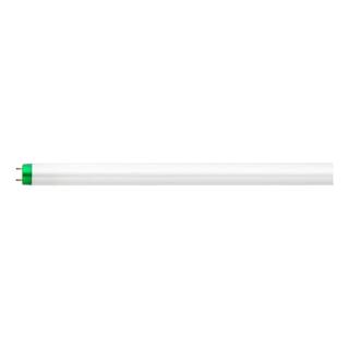 Philips 30-Watt T8 Alto Linear Fluorescent Tube Light Bulb 3 ft. Cool White (4100k) (1-Pack) 281451