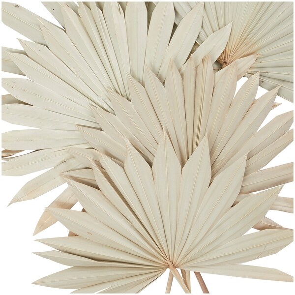 Cream Dried Plant Handmade Large Sun Spear Palm Leaf Home Decor Natural Foliage